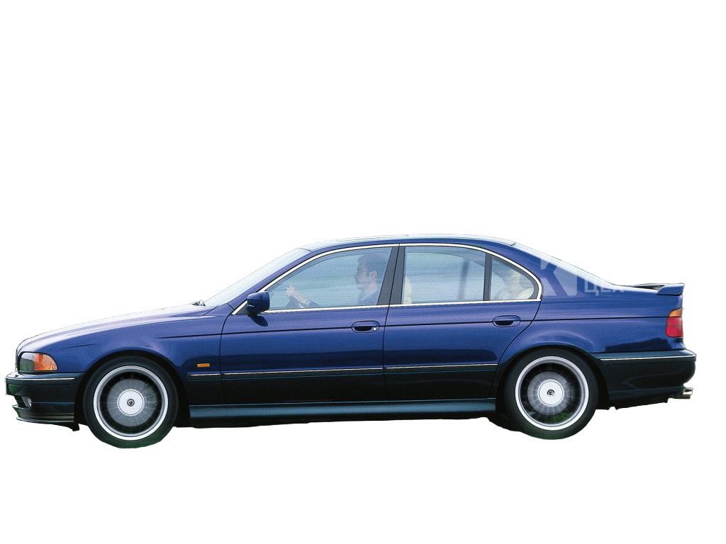 Альпина Д10